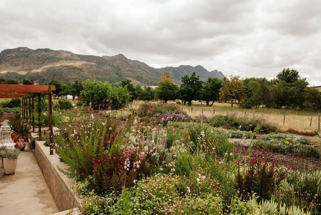 Vineyard Views Country House Riebeek-Kasteel Exterior foto