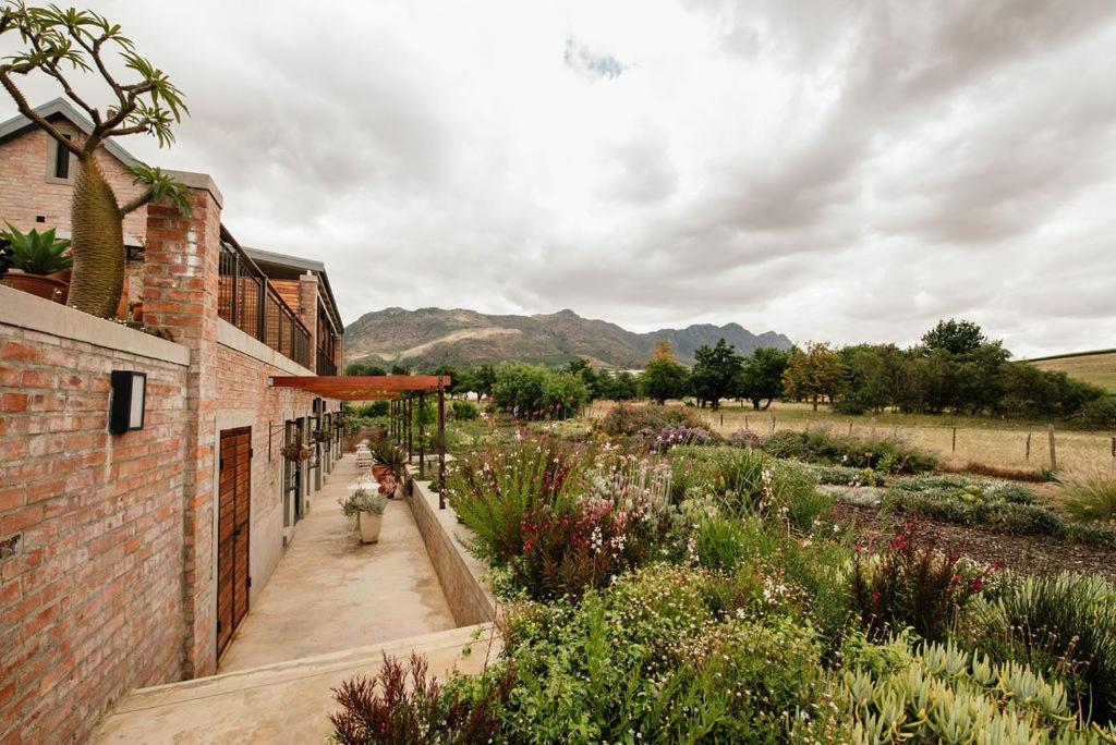 Vineyard Views Country House Riebeek-Kasteel Exterior foto