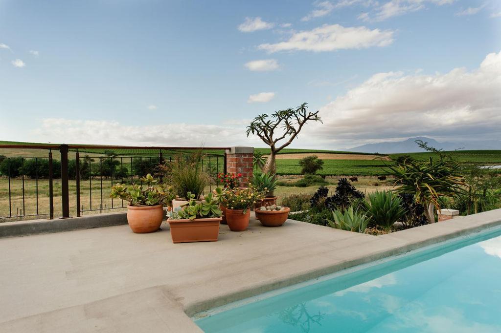 Vineyard Views Country House Riebeek-Kasteel Exterior foto